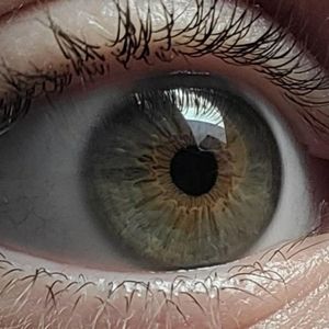 Meet your Posher, Incognito